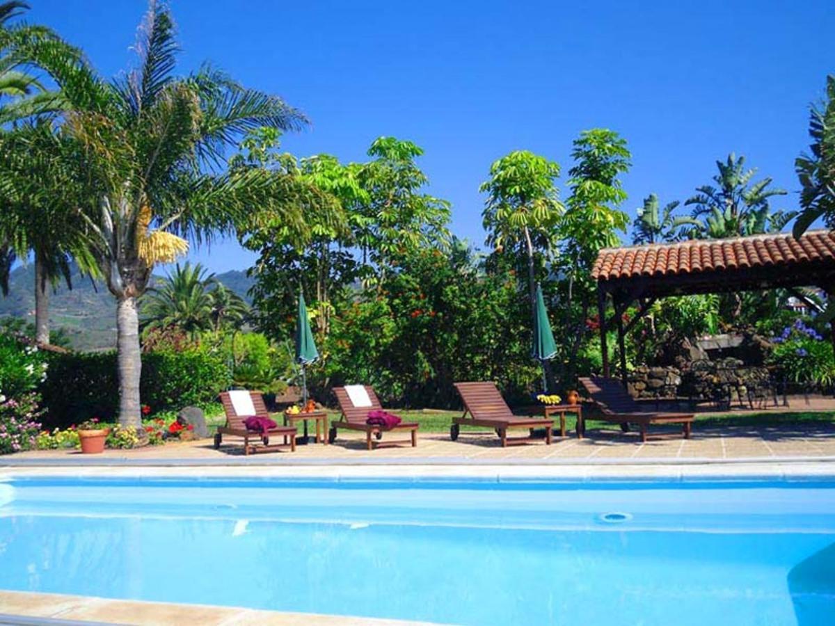 Elegant In With Pool - 35 M² * La Laguna (Tenerife)